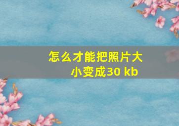 怎么才能把照片大小变成30 kb